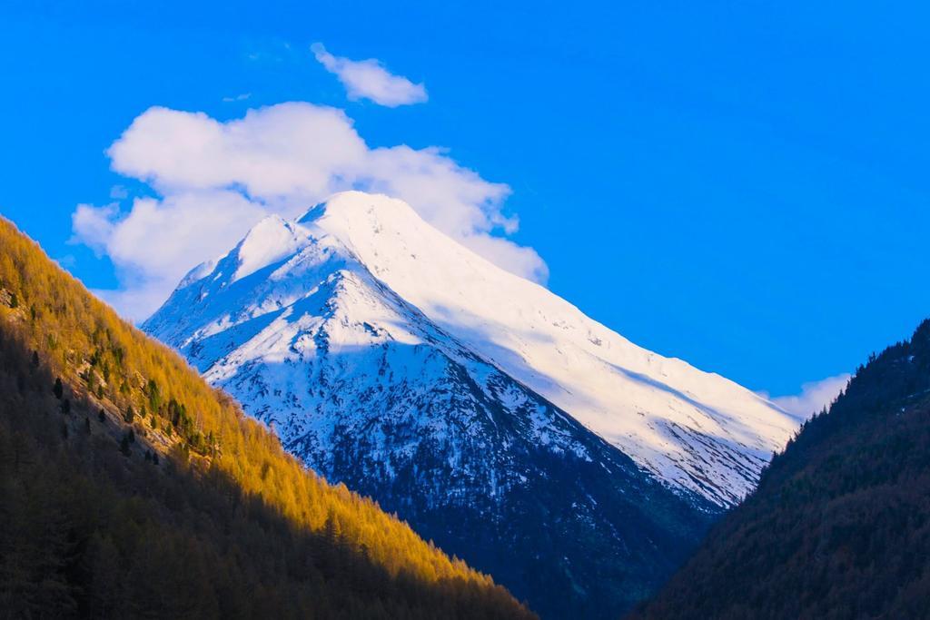 Monte Rosa Apartment Саас-Грунд Екстериор снимка